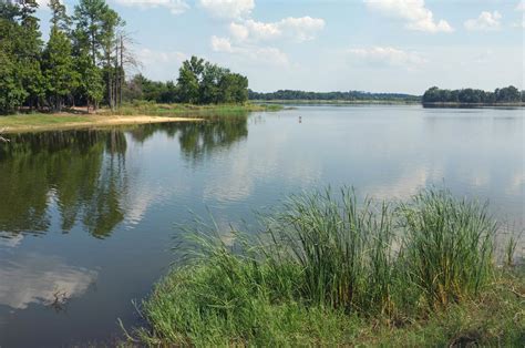 Martin Creek Lake State Park – DearTexas,