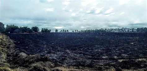 Pol Cia Ambiental Aplica Mais De R Mil Em Multas Por Degrada O