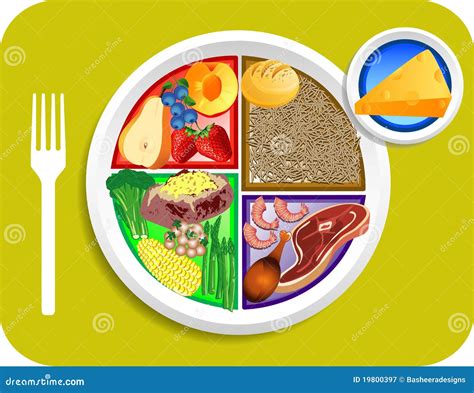 Food My Plate Dinner Portions Stock Vector - Illustration of diet, asparagus: 19800397