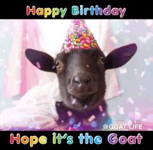 Goat Happy Birthday GIFs | Tenor