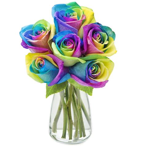 Rainbow Rose Bouquet