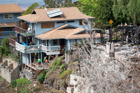 Upcountry Maui Is Entering The Next Phase Of Fire Recovery But Anxiety