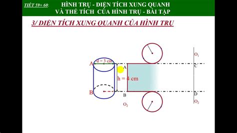 Di N T Ch Xung Quanh V Th T Ch C A H Nh Tr B Quy T V Ng D Ng