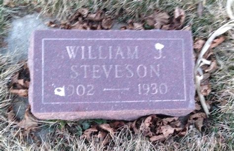 William J Steveson 1902 1930 Memorial Find A Grave