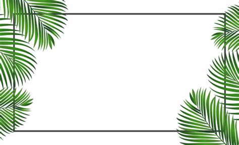 coconut png transparent images   vector files pngtree