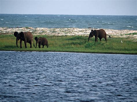 Gabon travel destinations - Lonely Planet