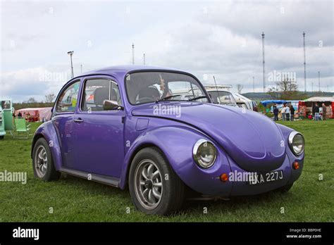 Vw Beetle Purple