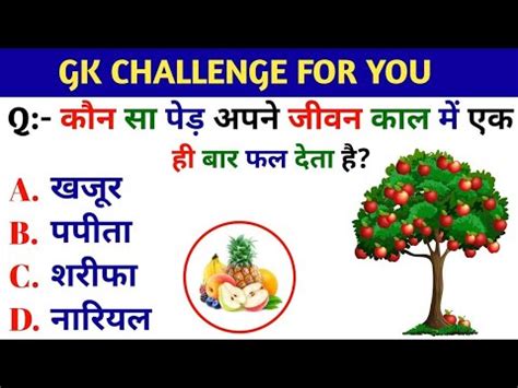 Gk Question Gk Quiz In Hindi Gk Tricks Jenaral Knowledge Gk