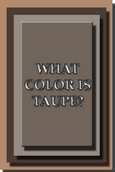 Color Taupe – Color Psychology & Personality Meaning
