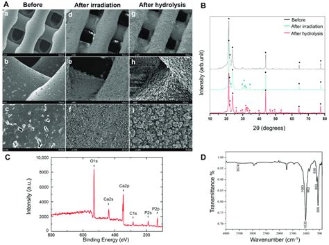 Characterization Of Hydroxyapatite Coating Onto Pcl Porous Scaffold By