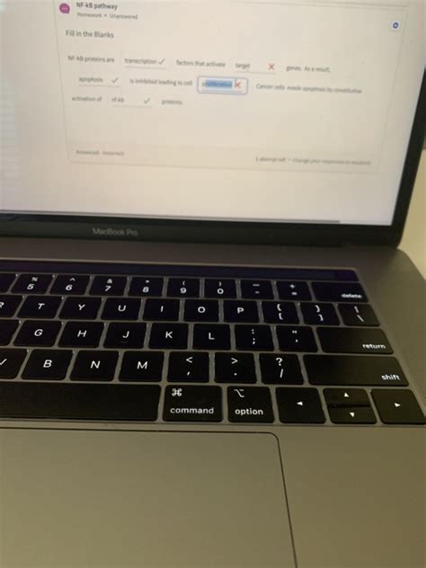 NF KB Pathway Homework Unanswered Fill In The Blanks Chegg
