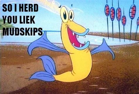 Mudskipper I Herd U Liek Mudkips Know Your Meme