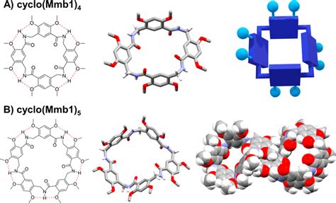 Single Crystal X Ray Structures Of Mamba Cavitands A Cyclic Tetramer Download Scientific