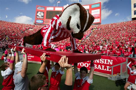 🔥 Free Download Bucky Badger Wallpaper Buy Now By Jenniferyoung