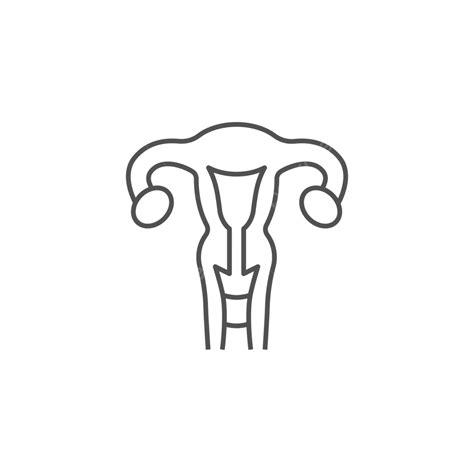 Uterus Vector Line Icons Uterus Ovary Shape Vector Uterus Ovary