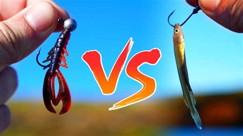 The Epic Fishing Experiment Live Minnows Vs Yabby Lure YouTube