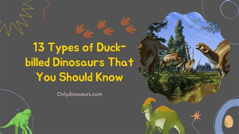 13 Types Of Duck Billed Dinosaurs That You Should Know 2022