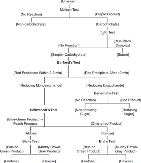 Qualitative Tests For Carbohydrates Sciencevivid 2023