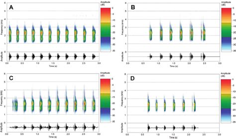 Audiospectrograms Above And Corresponding Oscillograms Below Of A