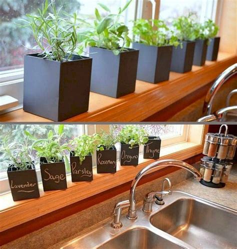 17 Small Apartment Indoor Gardening Ideas To Consider Sharonsable