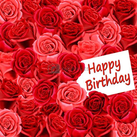 Happy Birthday Flower Wallpapers Top Free Happy Birthday Flower