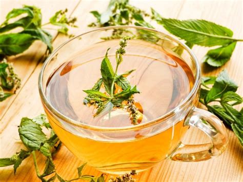 Beneficios Del Té De Hierbabuena