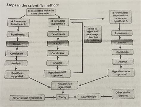 The Scientific Method Flashcards Quizlet