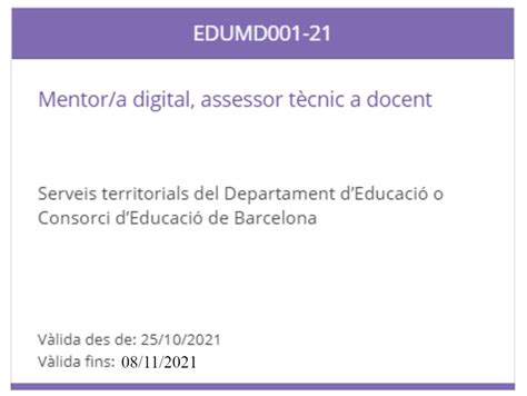 Oferta De Feina Mentor A Digital Servei Educatiu De La Terra Alta