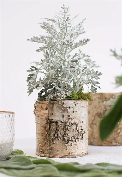 Birch Vase From Afloral For Your Private Mini Tree Birch Vase