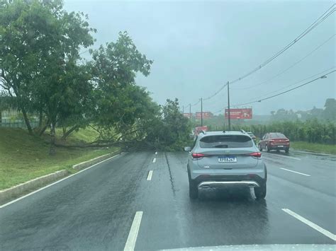 Chuva Forte Derruba Rvore Na Avenida Paralela Em Salvador Toda Bahia