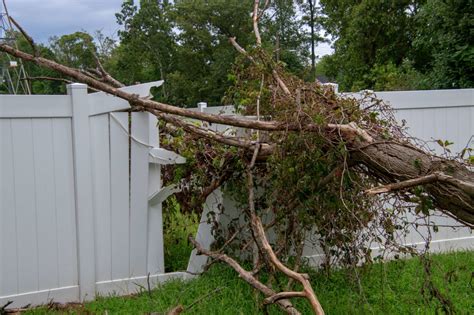 My Neighbors Tree Fell In My Yard Who Pays For It Atlanta Insurance