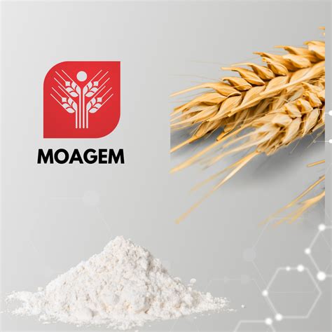 Tipos E Caracter Sticas Dos Equipamentos De Moagem Comparativo