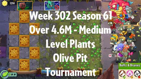 Over 4 6m Olive Pit Tournament Pvz2 Arena Week 302 S61 Medium Level Plants Jade League