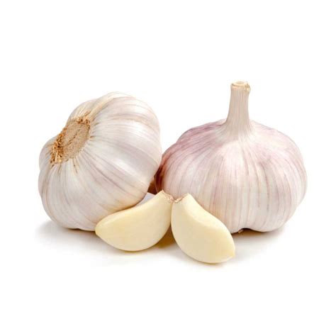 Чеснок посевной (Allium sativum L.) - лекарственное, съедобное растение ...
