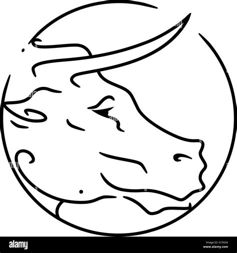 Ox Cartoon Black And White Stock Photos And Images Alamy