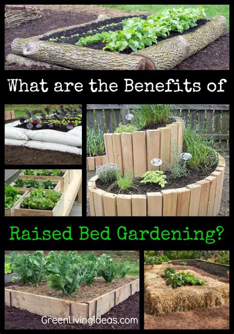 What Are The Benefits Of Raised Bed Gardening Green Living Ideas