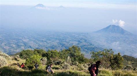 Pendaki Gunung Pemula Wajib Tahu 5 Jenis Sepatu Yang Pas Untuk Mendaki