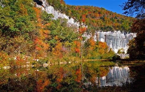 Arkansas’s fall foliage slowly changing colors | KARK