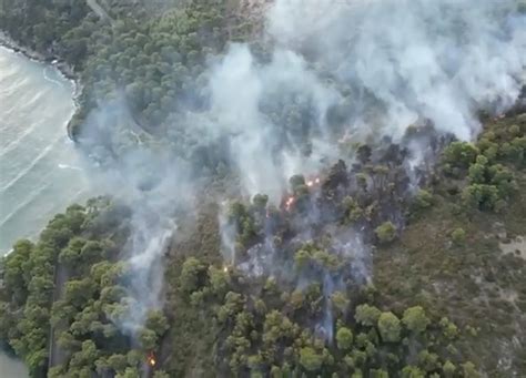 Grave Incendio In Una Zona Boschiva Di Vieste Nel Foggiano Evacuata