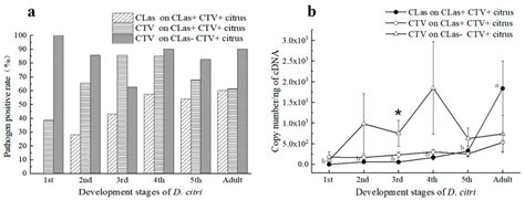 Presence And Titers Of Candidatus Liberibacter Asiaticus CLas And