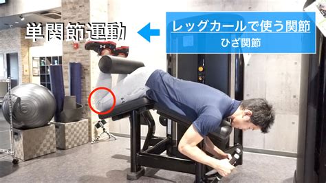 筋トレの順番で効果が変わる！ジムでの効果的な筋トレの順番とは？ Fit Axis｜筋トレ初心者をプロトレーナーがナビゲートするブログマガジン