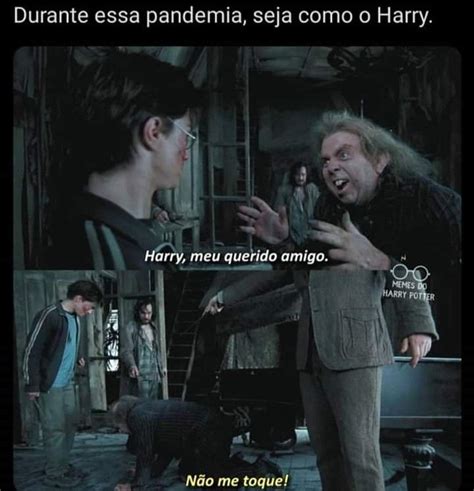 Pin De Rafael2araujo Em Memes Em 2020 Harry Potter Memes Memes Do