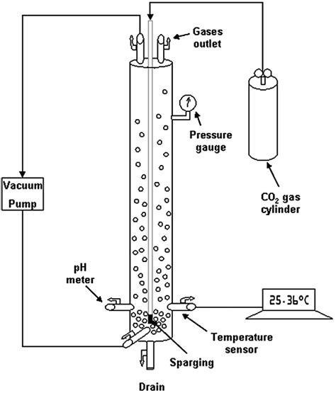 A Schematic Diagram Of The Bubble Column Reactor Download Scientific