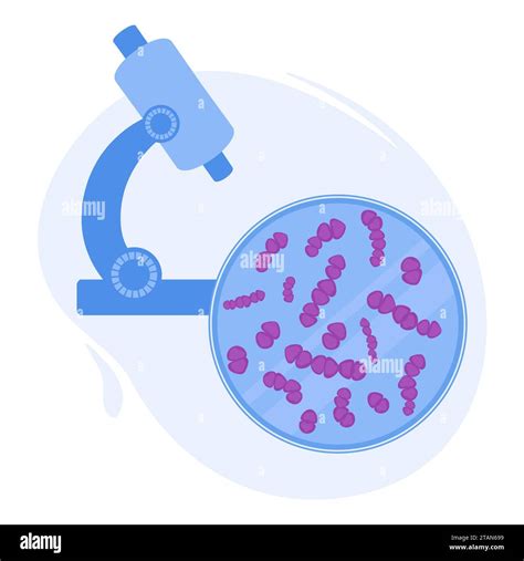 Diplococci bacteria hi-res stock photography and images - Alamy