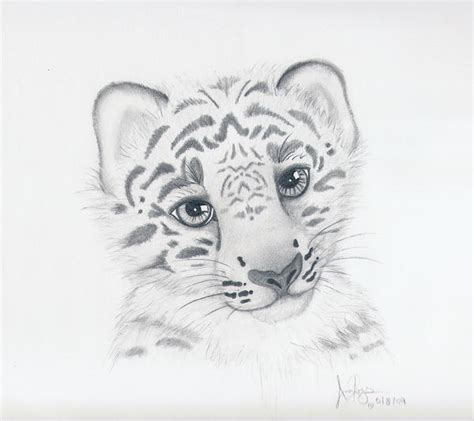 Baby Snow Leopard By Runeelf On Deviantart