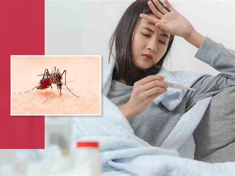 Dengue Fever Types And Symptoms 3 तरह के होते हैं डेंगू बुखार डॉक्टर से