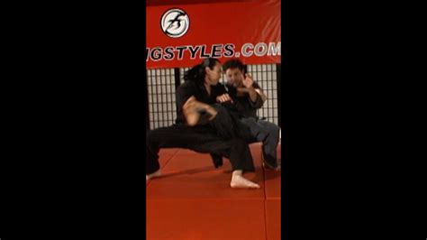 Rear Takedown Against Punch Combo By Hwa Rang Do Grandmaster Taejoon