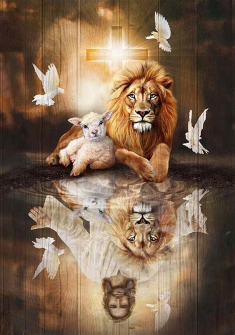 Akfomee Jesus The Lion Of Judah And Lamb Of God Lion Poster 500 Pieces