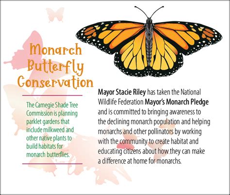 Monarch Butterfly Conservation