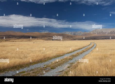 Lake Tekapo, South Island, New Zealand Stock Photo - Alamy